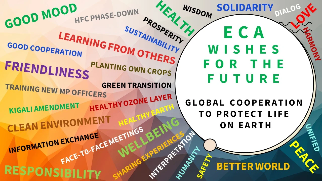 Онлайн-встреча ECA по устойчивому охлаждению в розничной торговле Онлайн-встреча ECA по устойчивому охлаждению в розничной торговле